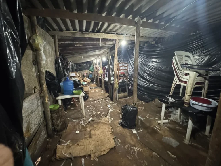 gcm-apreende-55-kg-de-drogas-e-prende-traficante-em-sao-miguel-paulista